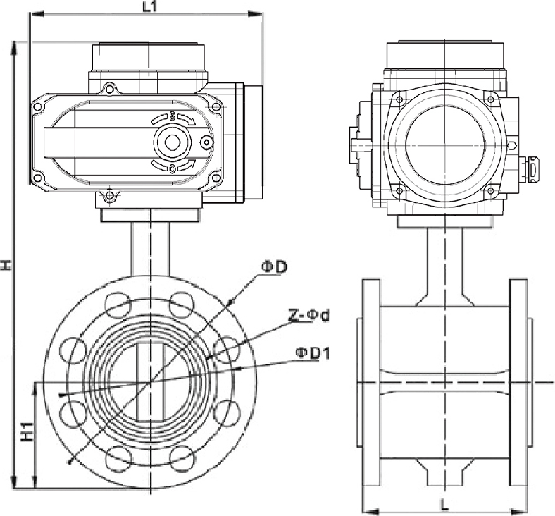 D941X-16Q電動對夾蝶閥結(jié)構(gòu)圖.jpg